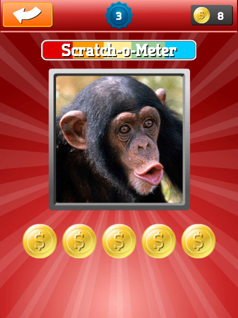 Scratch & Guess Animals